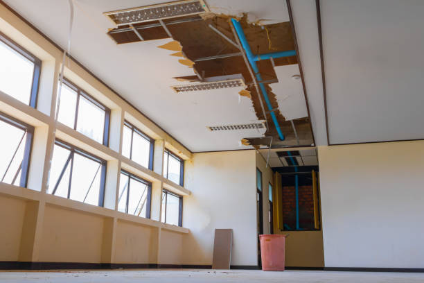 Best Flood damage cleanup  in Uniondale, NY