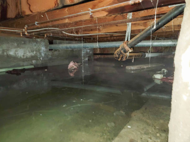 Best Water damage cleanup near me  in Uniondale, NY