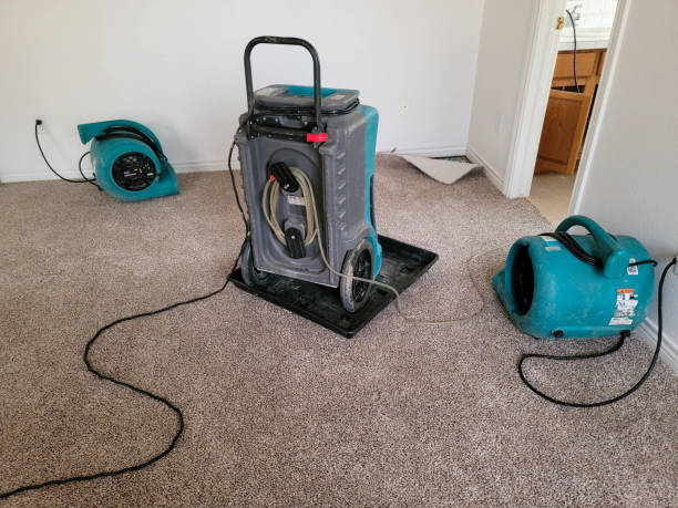 Best Water damage restoration near me  in Uniondale, NY
