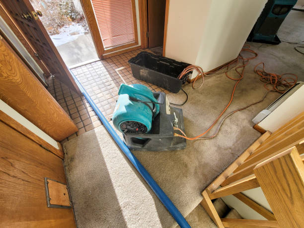 Best Mold removal after water damage  in Uniondale, NY